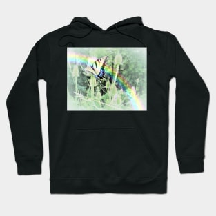 Swallowtail and Rainbow Hoodie